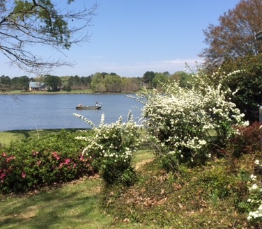 Spring on the lake