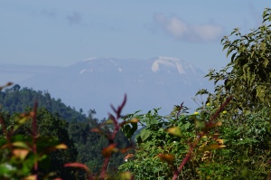 Mt. Kilimanjaro in the distance.
