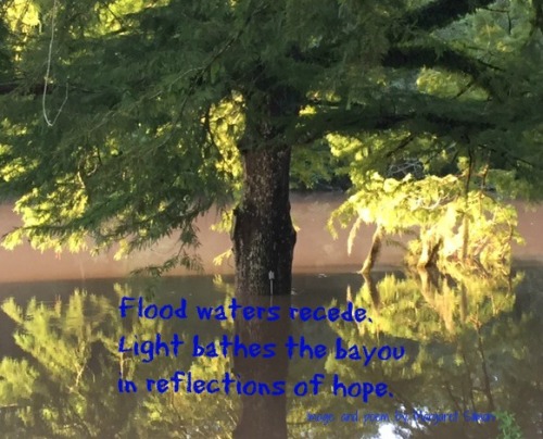 reflection flood poem
